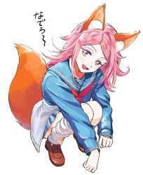 Rule 34 | 1girl, :d, absurdres, animal ear fluff, animal ears, baburo, blue serafuku, blue skirt, brown footwear, cardigan, cardigan around waist, clothes around waist, fang, fox ears, fox girl, fox tail, from above, full body, head tilt, highres, kemonomimi mode, kunichika yuu, loafers, long hair, long sleeves, looking at viewer, looking up, loose socks, miniskirt, neckerchief, open mouth, outstretched arms, pink eyes, pink hair, red neckerchief, school uniform, serafuku, shoes, simple background, skirt, smile, socks, solo, squatting, tail, uniform, white legwear, world trigger