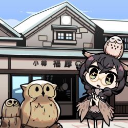 Rule 34 | 1girl, animal, animal on head, bird, bird on head, black hair, black shorts, blue sky, bow, braid, brown shirt, building, cevio, chibi, crossed bangs, day, fake wings, feet out of frame, glasses, green eyes, hair bow, hanakuma chifuyu, leaning to the side, long hair, long sleeves, looking at viewer, low twin braids, lowres, moyasiwhite, multiple hair bows, on head, open mouth, otaru (hokkaido), outdoors, outline, owl, owl girl, own hands together, pince-nez, real world location, round eyewear, second-party source, shirt, short shorts, shorts, sky, solo, standing, steepled fingers, synthesizer v, twin braids, white bow, winged arms, wings, yellow-framed eyewear