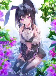 Rule 34 | 1girl, animal ears, bare shoulders, between legs, black hair, black jacket, black shirt, black thighhighs, blurry, bow, bowtie, breasts, closed mouth, collared shirt, crop top, depth of field, expressionless, fake animal ears, flower, garter straps, hair bun, hairband, highres, jacket, long hair, long sleeves, looking at viewer, midriff, miwabe sakura, navel, off shoulder, open clothes, open jacket, original, purple eyes, purple flower, rabbit ears, shirt, single hair bun, sitting, sleeveless, sleeveless shirt, small breasts, solo, stomach, thighhighs, thighs, very long hair, water, wet