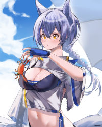 Rule 34 | 1girl, :o, absurdres, animal, animal ears, arknights, beach umbrella, bikini, bikini under clothes, black bikini, blue gloves, blue sky, blush, breasts, cleavage, crab, day, eyebrows hidden by hair, fingerless gloves, framed breasts, gloves, goro desu, highres, holding, holding animal, large breasts, long sleeves, navel, official alternate costume, open mouth, outdoors, parted lips, ponytail, provence (arknights), provence (casual vacation) (arknights), signature, silver hair, sky, solo, stomach, swimsuit, tail, umbrella, upper body, wide sleeves, wolf ears, wolf girl, wolf tail, yellow eyes