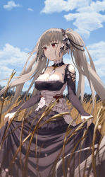 Rule 34 | 1girl, absurdly long hair, absurdres, azur lane, bad id, bad pixiv id, black dress, black ribbon, blue sky, breasts, choker, cleavage, closed mouth, cloud, commentary, day, dress, expressionless, formidable (azur lane), frilled dress, frills, gothic lolita, grey hair, hair ribbon, highres, large breasts, lolita fashion, long hair, long sleeves, looking to the side, outdoors, red eyes, ribbon, scenery, sidelocks, sky, sleeves past wrists, solo, standing, sunlight, tem, twintails, very long hair, wheat field