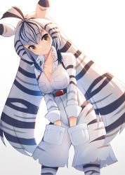 Rule 34 | 1girl, animal ears, animal print, antenna hair, backlighting, belt, black hair, breasts, brown eyes, cargo shorts, chapman&#039;s zebra (kemono friends), cleavage, closed mouth, collarbone, collared shirt, commentary request, hair between eyes, hands in pockets, high-waist shorts, impossible clothes, impossible shirt, kemono friends, leaning forward, long hair, long sleeves, looking at viewer, medium breasts, multicolored hair, outstretched arms, pantyhose, pantyhose under shorts, pocket, print pantyhose, print shirt, print shorts, shirt, shorts, smile, solo, standing, streaked hair, striped clothes, striped pantyhose, striped shirt, striped shorts, suspender shorts, suspenders, two-tone hair, very long hair, white hair, wing collar, z.o.b, zebra ears, zebra print