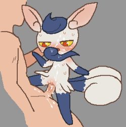 Rule 34 | 1boy, 1girl, animal ears, blue fur, blue hair, body fur, cat ears, cat girl, cat tail, clitoris, colored sclera, creatures (company), cum, cum on body, facial, flat chest, full body, fur collar, furry, furry female, game freak, gen 6 pokemon, grey background, hetero, interspecies, meowstic, meowstic (female), multiple tails, nintendo, open mouth, penis, pixel art, pokemon, pokemon (creature), pokephilia, pussy, red eyes, sex, short hair, simple background, size difference, solo focus, spread legs, straddling, sweat, tail, tosx, two-tone fur, two tails, vaginal, white fur, yellow sclera