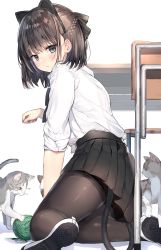Rule 34 | 1girl, absurdres, animal ears, black pantyhose, black skirt, blush, braid, cat, cat ears, cat tail, chair, commentary request, desk, fake animal ears, highres, looking at viewer, original, pantyhose, pleated skirt, ranf, school chair, school desk, shirt, shoes, simple background, skirt, solo, tail, uwabaki, white background, white shirt