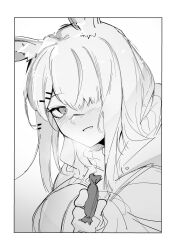 Rule 34 | 1girl, :d, absurdres, animal ears, ao oni (onioni-aoi), arknights, blush, breath, candy, coat, commentary request, food, frostnova (arknights), greyscale, hair between eyes, hair ornament, hair over one eye, hairclip, hand up, highres, holding, holding candy, holding food, incoming food, long hair, looking at viewer, monochrome, one eye covered, open mouth, parted lips, rabbit ears, rabbit girl, scar, scar on face, scar on nose, smile, solo, split mouth, sweets, turning head, unfinished