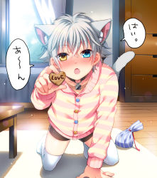 Rule 34 | 1boy, animal ears, cat ears, character request, commentary request, day, ginjiro (ginziro525), ginjiro (vtuber), grey hair, hair between eyes, indie virtual youtuber, indoors, looking at viewer, male focus, short hair, shorts, solo, speech bubble, sunlight, thighhighs, translation request, virtual youtuber, white day, white thighhighs, wooden floor