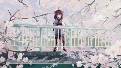 Rule 34 | 1girl, ahoge, black skirt, blue sky, blush, branch, brown eyes, brown hair, brown pantyhose, cherry blossoms, closed mouth, commentary request, day, hair between eyes, headgear, highres, japanese clothes, kimono, lamb (hitsujiniku), long sleeves, obi, outdoors, pantyhose, pleated skirt, railing, sash, skirt, sky, solo, standing, touhoku kiritan, voiceroid, white kimono, wide sleeves
