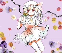 Rule 34 | 1girl, ascot, bare legs, black wings, blonde hair, bloomers, bow, collared shirt, commentary, eyelashes, feet out of frame, flandre scarlet, floral background, flower, flower in eye, frilled ascot, frilled headwear, frilled shirt collar, frilled sleeves, frills, hat, hat bow, holding, holding flower, light blush, long hair, miniskirt, mob cap, parted lips, petals, pleated skirt, pointy ears, puffy short sleeves, puffy sleeves, purple background, red bow, red eyes, red skirt, red vest, ribbon-trimmed skirt, ribbon trim, shirt, short sleeves, side ponytail, skirt, skirt set, solo, suzune hapinesu, symbol-only commentary, symbol in eye, touhou, underwear, vest, wavy hair, white bloomers, white hat, white shirt, white sleeves, wings, yellow ascot, yellow flower