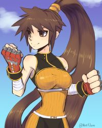 Rule 34 | 1girl, brown eyes, brown hair, dnf duel, dungeon and fighter, fighter (dungeon and fighter), fingerless gloves, gloves, highres, ponytail, smile, solo, striker (dungeon and fighter)