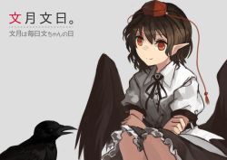 Rule 34 | 1girl, akaiha (akaihagusk), bad id, bad pixiv id, bird, black hair, collared shirt, commentary request, crossed arms, crow, frilled skirt, frills, hat, neck ribbon, pointy ears, red eyes, ribbon, shameimaru aya, shirt, short hair, short sleeves, skirt, smile, squatting, tokin hat, touhou, translation request, wings