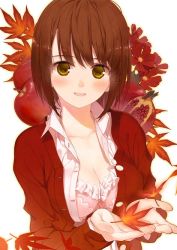 Rule 34 | amamiya chiharu, apple, autumn leaves, blouse, bra, breasts, brown eyes, brown hair, cleavage, collared shirt, cupping hands, food, fruit, leaf, maple leaf, medium breasts, open clothes, open shirt, original, own hands together, pomegranate, shirt, short hair, solo, sweater, underwear, white shirt