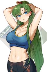 Rule 34 | 1girl, alternate costume, armpits, arms behind head, arms up, bare arms, bare shoulders, black pants, blue eyes, breasts, chocojax, cleavage, commentary, crop top, fire emblem, fire emblem: the blazing blade, green hair, highres, large breasts, long hair, lyn (fire emblem), midriff, navel, nintendo, pants, solo, sports bra, stomach, upper body, very long hair, white background