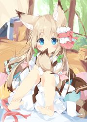 Rule 34 | 1girl, animal ear fluff, animal ears, barefoot, bed sheet, bloomers, blue eyes, blush, book, bow, brown bow, brown skirt, brown vest, commentary request, covered mouth, fox ears, fox girl, fox tail, hair between eyes, highres, hugging own tail, hugging tail, indoors, knees up, kushida you, light brown hair, long hair, long sleeves, looking at viewer, original, pillow, red ribbon, ribbon, shirt, sitting, skirt, soles, solo, tail, tree, underwear, very long hair, vest, white bloomers, white shirt, window