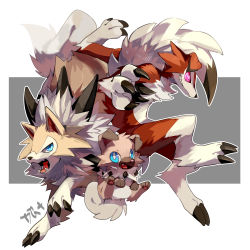 Rule 34 | absurdres, animal ears, animal hands, arms up, blue eyes, claws, creatures (company), dog ears, dog tail, fang, feet, full body, furry, game freak, gen 7 pokemon, highres, jia, jumping, looking to the side, looking up, lycanroc, nintendo, open mouth, pink eyes, pokemon, pokemon (creature), pokemon sm, rockruff, sharp teeth, simple background, smile, tail, teeth, text focus, tongue, translation request, two-tone background, white background