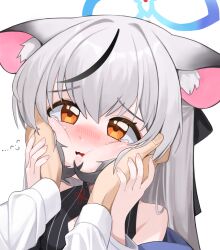 Rule 34 | 1boy, 1girl, animal ear fluff, animal ears, blue archive, blush, bow, brown eyes, commentary request, ddog, flying sweatdrops, gradient hair, grey hair, hair between eyes, hair bow, hair ribbon, halo, hands on another&#039;s cheeks, hands on another&#039;s face, highres, kokona (blue archive), long hair, long sleeves, looking at viewer, low twintails, multicolored hair, out of frame, pov, pov hands, puffy cheeks, ribbon, sensei (blue archive), sidelocks, simple background, sleeveless, streaked hair, tearing up, tiger ears, tiger girl, twintails, two-tone hair, white background