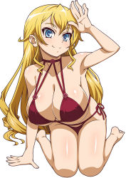 Rule 34 | 10s, 1girl, arm support, arm up, barefoot, bikini, blonde hair, blue eyes, body blush, breasts, claire harvey, cleavage, covered erect nipples, eyebrows, hundred (light novel), kasanui, kneeling, large breasts, long hair, looking at viewer, red bikini, simple background, smile, solo, swimsuit, waving, white background