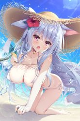 Rule 34 | 1girl, all fours, animal ears, barefoot, beach, bell, bikini, blush, braid, breasts, choker, day, flower, grey hair, hair flower, hair ornament, hat, highres, holding, large breasts, long hair, looking at viewer, lotion, neck bell, original, outdoors, pouring, purple eyes, side braid, sidelocks, solo, straw hat, swimsuit, tail, thighs, wet, wolf ears, wolf tail, yatanukikey