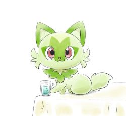 Rule 34 | :3, cat, closed mouth, commentary request, creatures (company), game freak, glass, looking at viewer, nintendo, no humans, pink eyes, pokemon, pokemon (creature), sitting, smile, solo, sprigatito, table, tablecloth, takky pic, water, white background