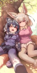 Rule 34 | 2girls, animal ears, arm rest, black hair, blonde hair, blush, bodystocking, bow, bowtie, breast pocket, chin rest, closed eyes, common raccoon (kemono friends), dappled sunlight, day, extra ears, fennec (kemono friends), fox ears, fox girl, fox tail, fur collar, grass, grey hair, hair between eyes, hand rest, head on head, head rest, highres, holding hands, interlocked fingers, kemono friends, layered sleeves, leaning back, long sleeves, medium hair, melaton, miniskirt, multicolored hair, multiple girls, on grass, on ground, open mouth, outdoors, parted bangs, parted lips, pink sweater, platinum blonde hair, pleated skirt, pocket, purple sweater, raccoon ears, raccoon girl, raccoon tail, shade, shoes, short-sleeved sweater, short over long sleeves, short sleeves, sitting, skirt, sleeping, spread legs, sunlight, sweater, tail, tree, tree shade, under tree