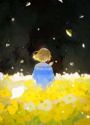 Rule 34 | 1other, blue sweater, brown hair, buttercup (flower), commentary, english commentary, falling petals, field, floating hair, flower, flower field, frisk (undertale), from behind, highres, long sleeves, matchavi, other focus, petals, reaching, reaching towards viewer, short hair, solo, star (sky), striped clothes, striped sweater, sweater, undertale, yellow flower