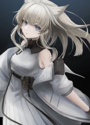 Rule 34 | 1girl, animal ear fluff, arknights, arknights: endfield, bare shoulders, belt, belt pouch, black background, blue background, blue eyes, blunt bangs, breasts, brown hair, cowboy shot, dress, gradient background, grey dress, grey jacket, highres, jacket, long hair, long sleeves, looking at viewer, mihaia, off shoulder, open clothes, open jacket, parted lips, perlica (arknights), pouch, small breasts, solo