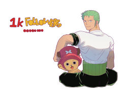 Rule 34 | 2boys, antlers, bandana around arm, cross, earrings, green hair, haramaki, hat, horns, jewelry, looking at viewer, looking back, male focus, multiple boys, one piece, pink hat, reindeer antlers, roronoa zoro, shirt, short hair, simple background, sitting, smile, stnutt, t-shirt, tony tony chopper, white background, white shirt