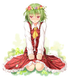 Rule 34 | 1girl, ascot, blush, clenched hands, efe, embarrassed, female focus, frilled skirt, frills, green hair, head wreath, kazami yuuka, long sleeves, looking away, plaid, plaid skirt, plaid vest, red eyes, seiza, shy, sitting, skirt, skirt set, solo, sweatdrop, touhou, vest, wariza, white background