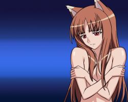 Rule 34 | 00s, 1girl, animal ears, holo, nude, solo, spice and wolf, vector trace, wallpaper, wolf ears