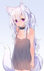 Rule 34 | 1girl, akagashi hagane, animal ear fluff, animal ears, bandaid, bandaid on hand, bdsm, breasts, child, collar, commentary request, animal collar, dress, expressionless, original, purple eyes, see-through silhouette, side ponytail, silver hair, slave, sleeveless, sleeveless dress, small breasts, spaghetti strap, tail