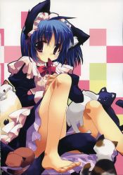 Rule 34 | 1girl, animal ears, barefoot, blue hair, blush, cat, cat ears, cat tail, covering privates, female focus, highres, maid, minazuki haruka, mouth hold, red eyes, ribbon, scan, short hair, sitting, skirt, solo, tail, uniform