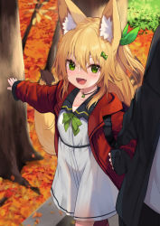 Rule 34 | 1girl, 1other, :d, animal ears, autumn, autumn leaves, blonde hair, dress, fang, fox ears, fox girl, fox tail, green eyes, highres, hood, hooded jacket, jacket, kokonoe tsubaki, locked arms, long sleeves, medium hair, multiple tails, one side up, open clothes, open jacket, open mouth, original, red jacket, sailor dress, skin fang, sleeves past wrists, smile, solo focus, tail, tree, two tails, walking, white dress, yoshizawa tsubaki