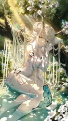 1girl absurdres antlers blunt_bangs breasts bug butterfly collar commentary dress flower forest highres horns insect kuro_(rudyan0128) large_breasts long_hair looking_at_viewer nature original solo symbol-only_commentary tree water white_collar white_dress white_hair yellow_eyes