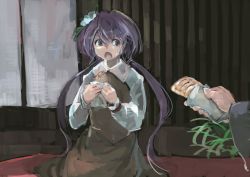 Rule 34 | 1girl, bad id, bad twitter id, dress, flower, food, hair flower, hair ornament, ichiba youichi, long hair, long sleeves, looking at another, open mouth, out of frame, purple eyes, purple hair, sitting, solo focus, sweatdrop, touhou, tsukumo benben, twintails