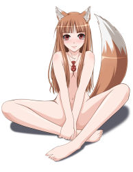 Rule 34 | 00s, 1girl, animal ears, bad id, bad pixiv id, barefoot, breasts, brown hair, chiro, cleavage, completely nude, feet, full body, hair censor, hair over breasts, hands on feet, holo, indian style, long hair, looking at viewer, moon cat, navel, nude, red eyes, red hair, simple background, sitting, small breasts, solo, spice and wolf, tail, white background, wolf ears, wolf tail