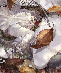 Rule 34 | 1boy, blanca (fate), boots, bug, cloak, closed eyes, closed mouth, commentary, diamond hairband, fate/grand order, fate (series), full body, fur-trimmed boots, fur-trimmed cloak, fur trim, grey hair, insect, leaf, long sleeves, lying, male focus, medium hair, moth, oberon (fate), on ground, on side, oversized insect, reito6, robe, sleeping, solo, white cloak, white footwear, white robe