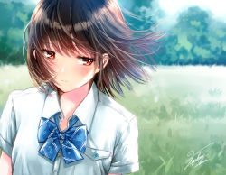 Rule 34 | 1girl, blue bow, blue bowtie, blurry, blurry background, blush, bow, bowtie, breast pocket, brown eyes, brown hair, buttons, closed mouth, collared shirt, commentary request, day, depth of field, dress shirt, field, grass, kazuharu kina, looking away, looking down, original, outdoors, pocket, school uniform, shirt, short hair, short sleeves, signature, solo, upper body, white shirt, wing collar