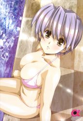 Rule 34 | 1girl, absurdres, alpha, alpha (urushihara), bikini, breasts, checkered floor, cleavage, floor, from above, highres, large breasts, light purple hair, looking at viewer, parted lips, pink bikini, pool, poolside, short hair, sitting, solo, swimsuit, urushihara satoshi, water, yellow eyes
