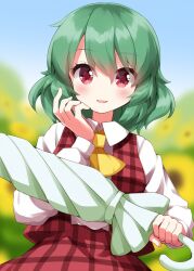 Rule 34 | 1girl, ascot, blue sky, blurry, blurry background, breasts, closed umbrella, collared shirt, commentary request, field, flower, flower field, green hair, happy, highres, kazami yuuka, long sleeves, open clothes, open vest, outdoors, parasol, plaid, plaid skirt, plaid vest, red eyes, red vest, ruu (tksymkw), shirt, short hair, skirt, skirt set, sky, small breasts, solo, sunflower, sunflower field, touhou, umbrella, vest, white shirt, yellow ascot