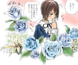 Rule 34 | 00s, 1girl, blue eyes, blue flower, blue rose, brown hair, collar, flower, frilled collar, frilled shirt collar, frills, green hair, long sleeves, looking afar, own hands together, pink background, plant, red eyes, rose, rozen maiden, simple background, solo, souseiseki, toshi hiroshi, translation request, upper body