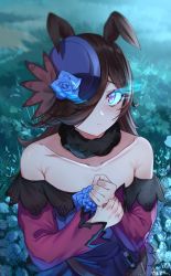 Rule 34 | 1girl, animal ears, bare shoulders, blue dress, blue hat, blush, bowler hat, brown hair, collarbone, dagger, dress, flat chest, fur collar, glowing, glowing eye, hair over one eye, hat, highres, horse ears, horse girl, jeze, knife, light trail, long hair, looking at viewer, low neckline, off-shoulder dress, off shoulder, rice shower (umamusume), sheath, signature, solo, tilted headwear, umamusume, upper body, weapon