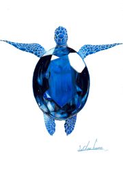 Rule 34 | abe yuichiro, animal focus, blue gemstone, blue theme, colored pencil (medium), crystal, from above, gem, highres, no humans, original, signature, simple background, traditional media, turtle, white background