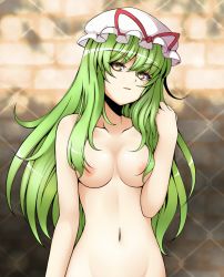 Rule 34 | 1girl, alternate hair color, aogu, breasts, censored, convenient censoring, female focus, green hair, groin, hat, large breasts, long hair, navel, smirk, solo, topless frame, touhou, upper body, yakumo yukari, yellow eyes