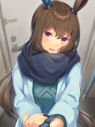 Rule 34 | 1girl, 1other, admire vega (umamusume), animal ears, aran sweater, blue coat, blue scarf, blue sweater, blurry, blurry background, brown hair, cable knit, coat, door, ear covers, enpera, hair between eyes, head tilt, highres, horse ears, horse girl, horse tail, indoors, kawahara minamo, long hair, long sleeves, looking at viewer, necktie, necktie grab, neckwear grab, open clothes, open coat, open mouth, pov, purple eyes, scarf, smile, solo, sweater, tail, umamusume, upper body, very long hair