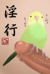 Rule 34 | beak, bestiality, bird, censored, erection, interspecies, penis, pun, sashizume soutarou, text focus, translated, what