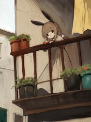 Rule 34 | 1girl, :t, absurdres, balcony, black eyes, braid, building, child, dress, female focus, highres, long dress, looking at viewer, low twin braids, original, pale skin, plant, potted plant, rabbit ears, railing, shirokujira, solo, twin braids