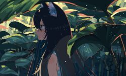 Rule 34 | 1girl, absurdres, animal ear fluff, animal ears, black eyes, black hair, cat ears, closed mouth, commentary, from side, hair between eyes, highres, kgt (pixiv12957613), light blush, long bangs, long hair, looking to the side, original, outdoors, plant, profile, sleeveless, solo, upper body