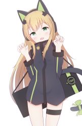 Rule 34 | absurdres, brown hair, cat tail, girls&#039; frontline, green eyes, highres, long coat, long hair, looking at viewer, open mouth, paw pose, solo, tail, tmp (girls&#039; frontline)
