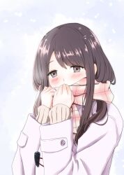 Rule 34 | 1girl, alternate eye color, alternate hair color, blush, brown eyes, brown hair, cloud, cloudy sky, coat, covering own mouth, day, hands up, highres, holding, holding clothes, holding scarf, kubo-san wa mob wo yurusanai, kubo nagisa, layered clothes, long hair, long sleeves, looking at viewer, outdoors, parted bangs, pink scarf, plaid, plaid scarf, purple coat, ribbed sweater, scarf, sidelocks, sky, sleeves past wrists, snowing, solo, straight hair, sweater, take20131004, upper body, winter clothes, winter coat