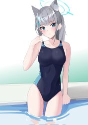 Rule 34 | 1girl, animal ear fluff, animal ears, anonair1 (anno), arm support, bare arms, bare shoulders, black one-piece swimsuit, blue archive, blush, breasts, commentary request, grey hair, halo, hand up, highres, long hair, looking at viewer, medium breasts, one-piece swimsuit, parted lips, ponytail, shiroko (blue archive), shiroko (swimsuit) (blue archive), sidelocks, solo, sweat, swimsuit, water