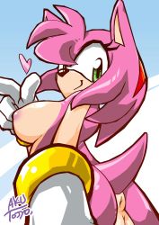 Rule 34 | aku tojyo, amy rose, anus, breasts, furry, pussy, simple background, sonic (series)